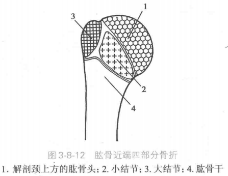 image-20220426150652501