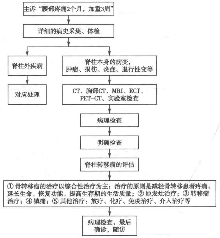 image-20220719073903939