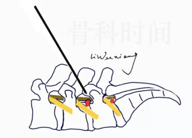 image-20220827065949418