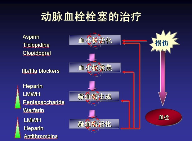 VTE类型